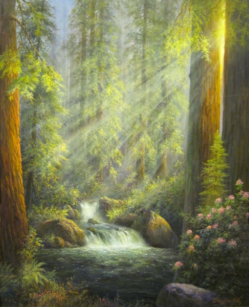 Light in the Forest