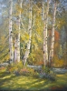 Aspen Grove