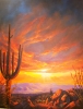 Saguaro Sunset
